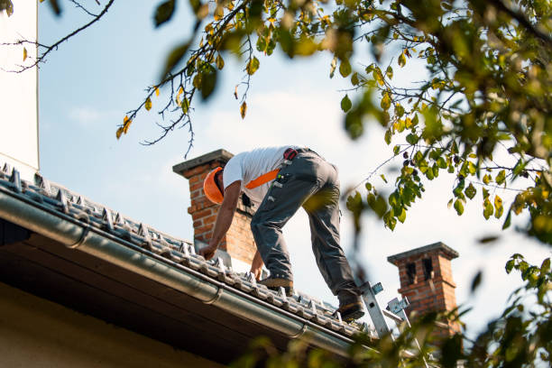 Best Flat Roof Repair Services  in Louisa, VA