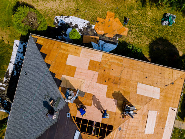 Best Metal Roofing Contractor  in Louisa, VA