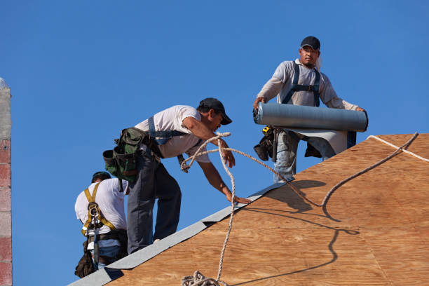 Professional Roofing Contractor in Louisa, VA