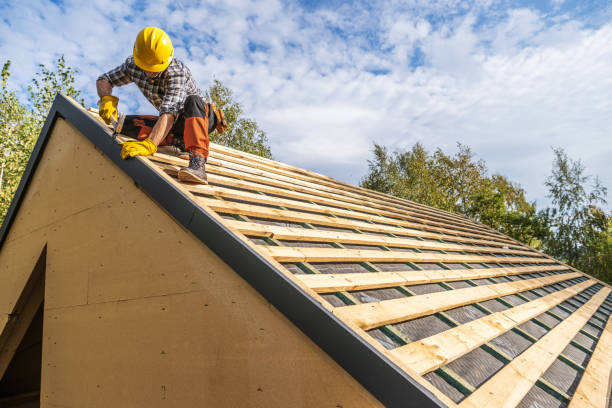 Best Roof Leak Repair  in Louisa, VA