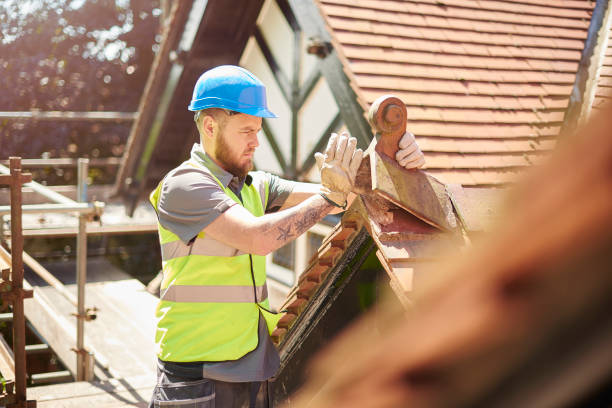 Best Roof Gutter Cleaning  in Louisa, VA