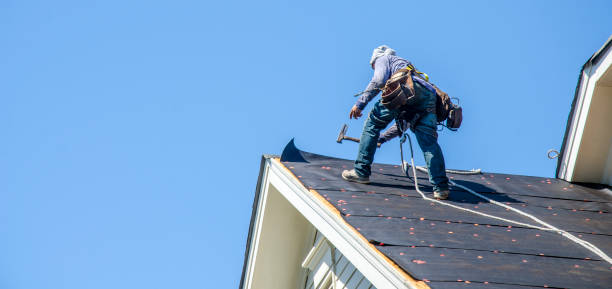 Best Best Roofing Contractors  in Louisa, VA